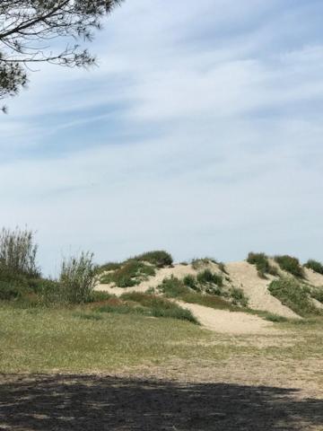 Oh! Campings - La Tamarissiere 아그 외부 사진